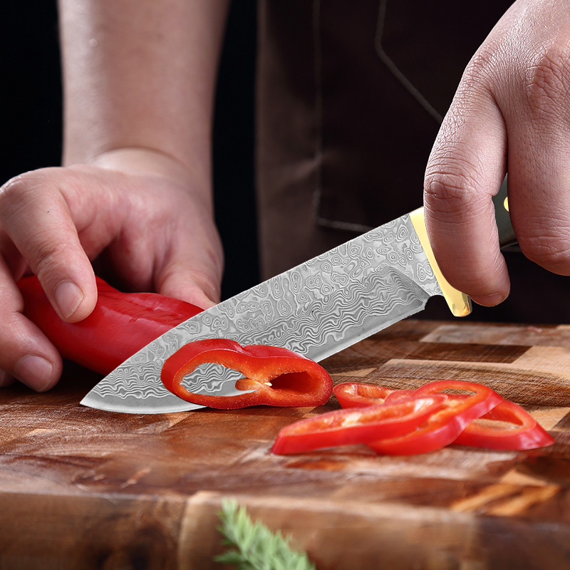 Premium VG10 Şam Çelik Mutfak  - Home Cooking Japanese Food incelemesi ve fiyatı